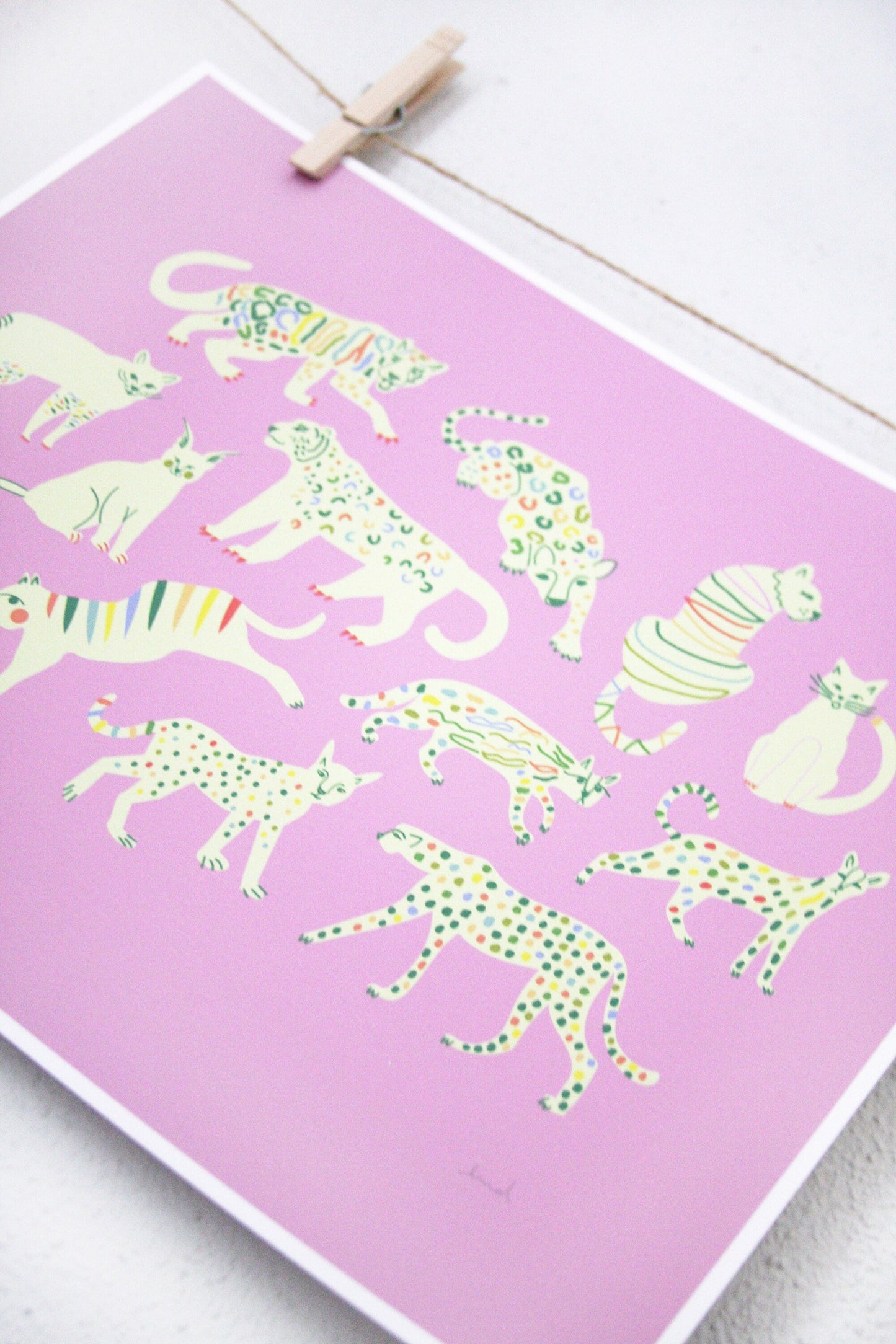 Kitty Print vendor-unknown