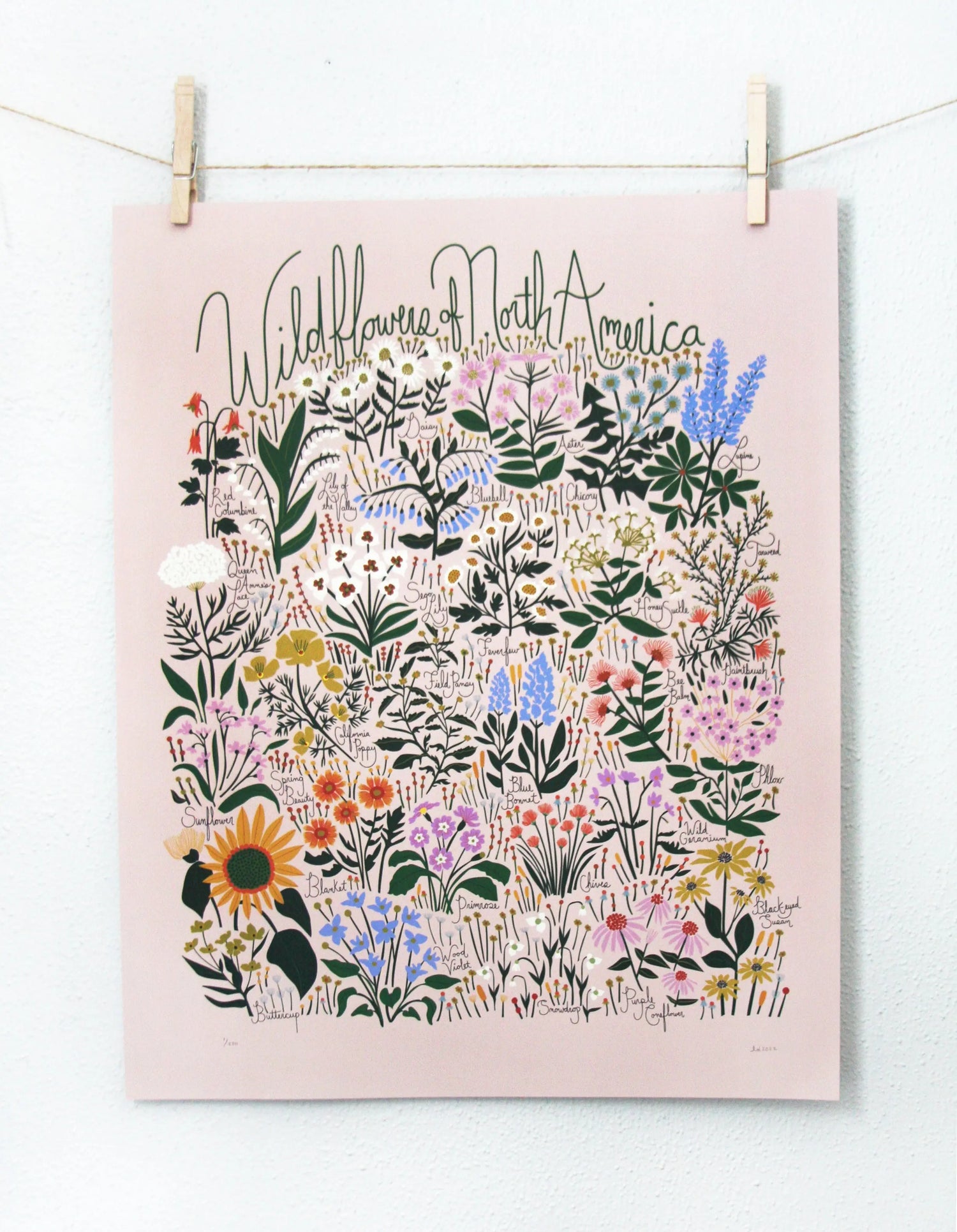 posters featuring artist designed wildflowers