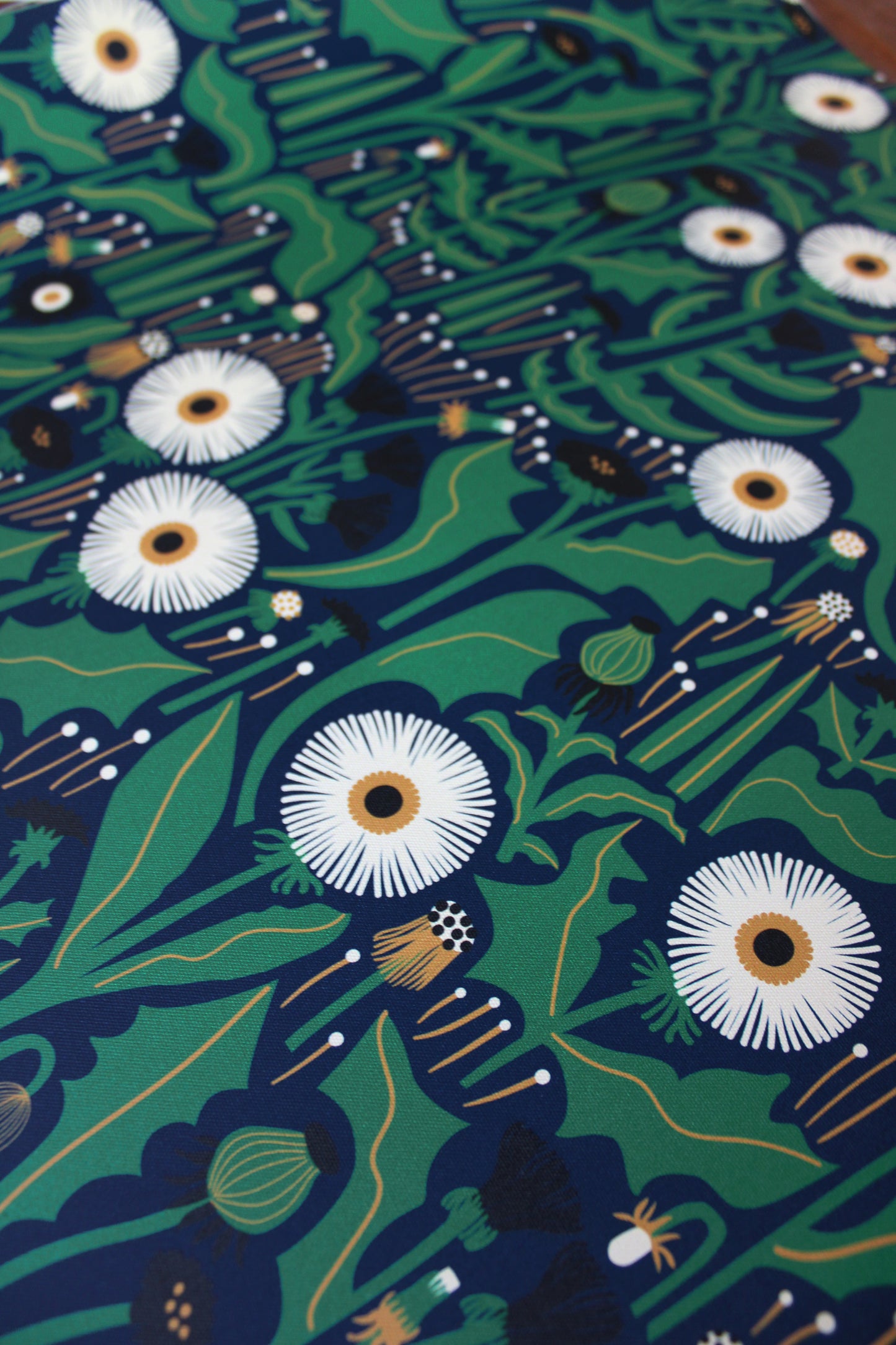 Dandelion Wallpaper Navy Peel and Stick
