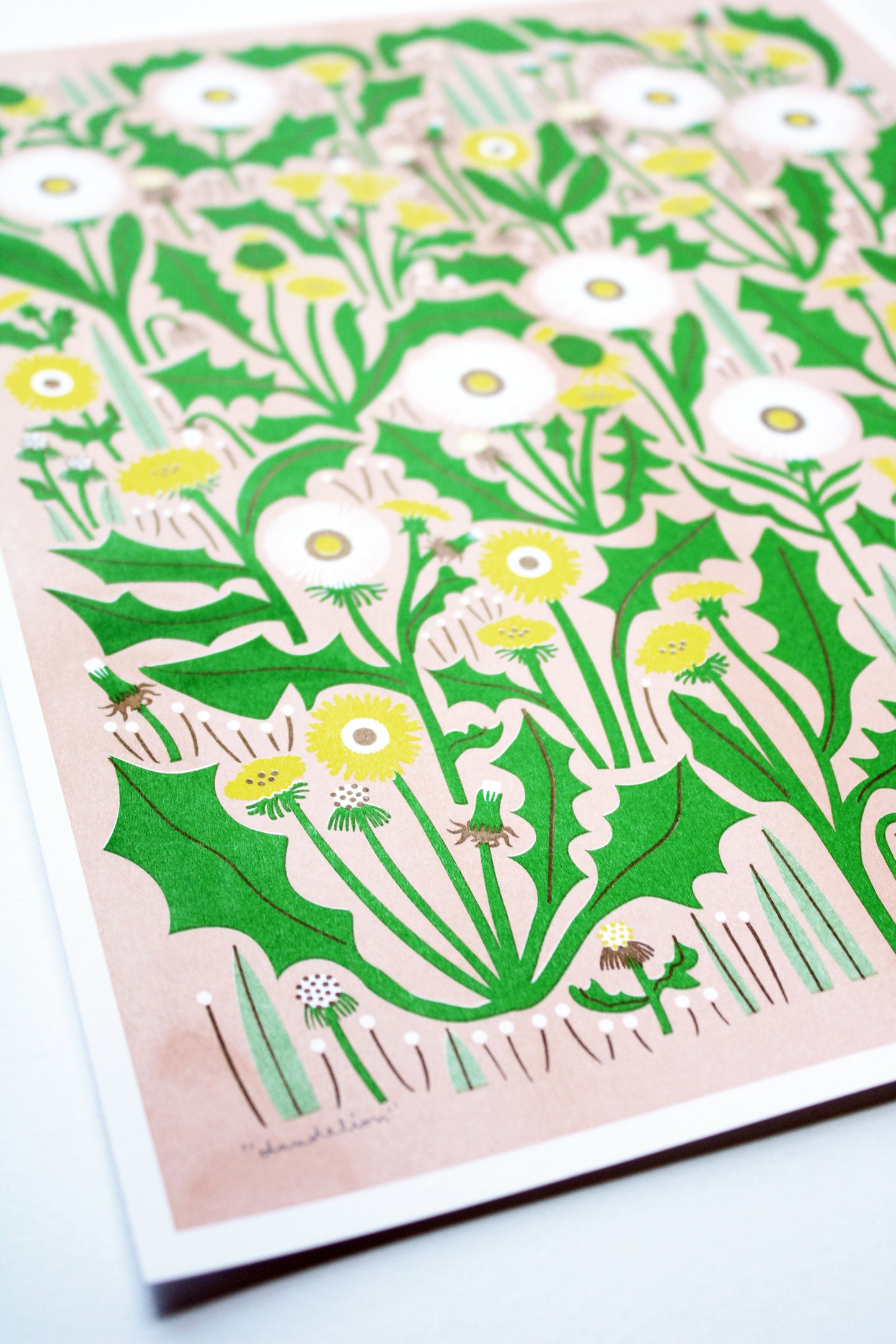 Dandelion Print