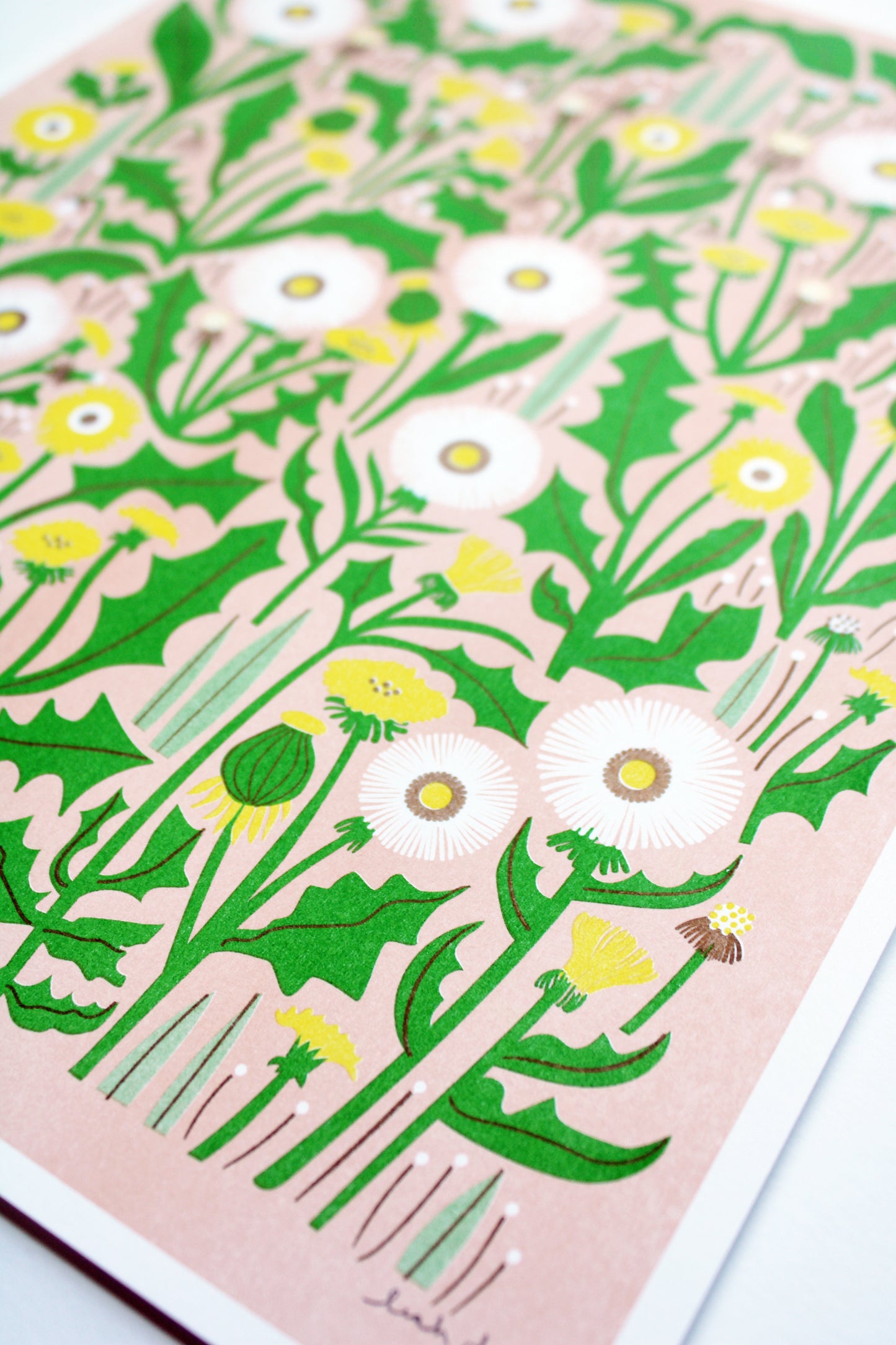 Dandelion Print