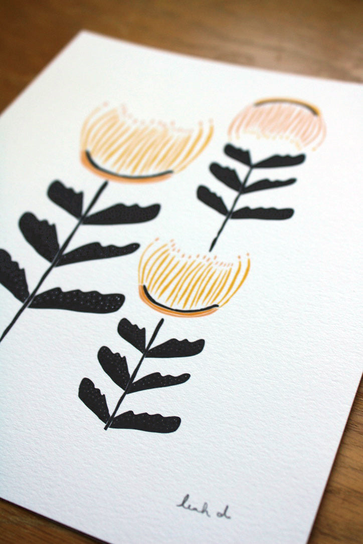 Desert Poppies Print