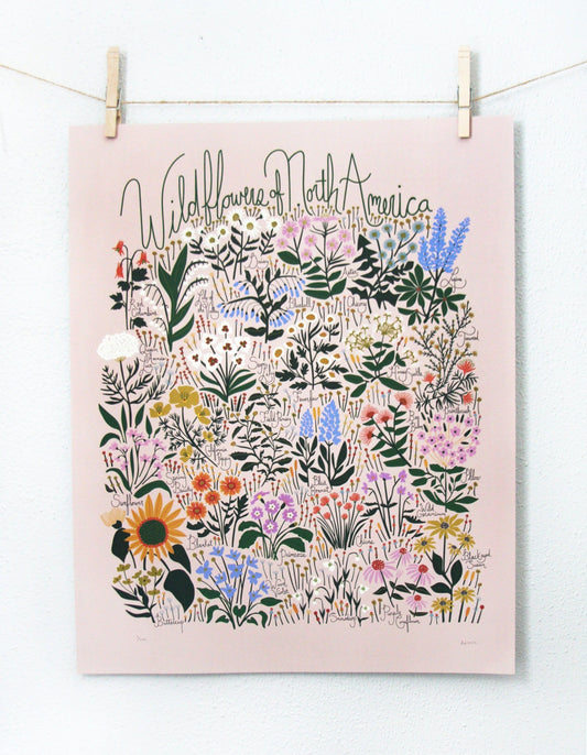 Wildflowers of North America Poster Blush