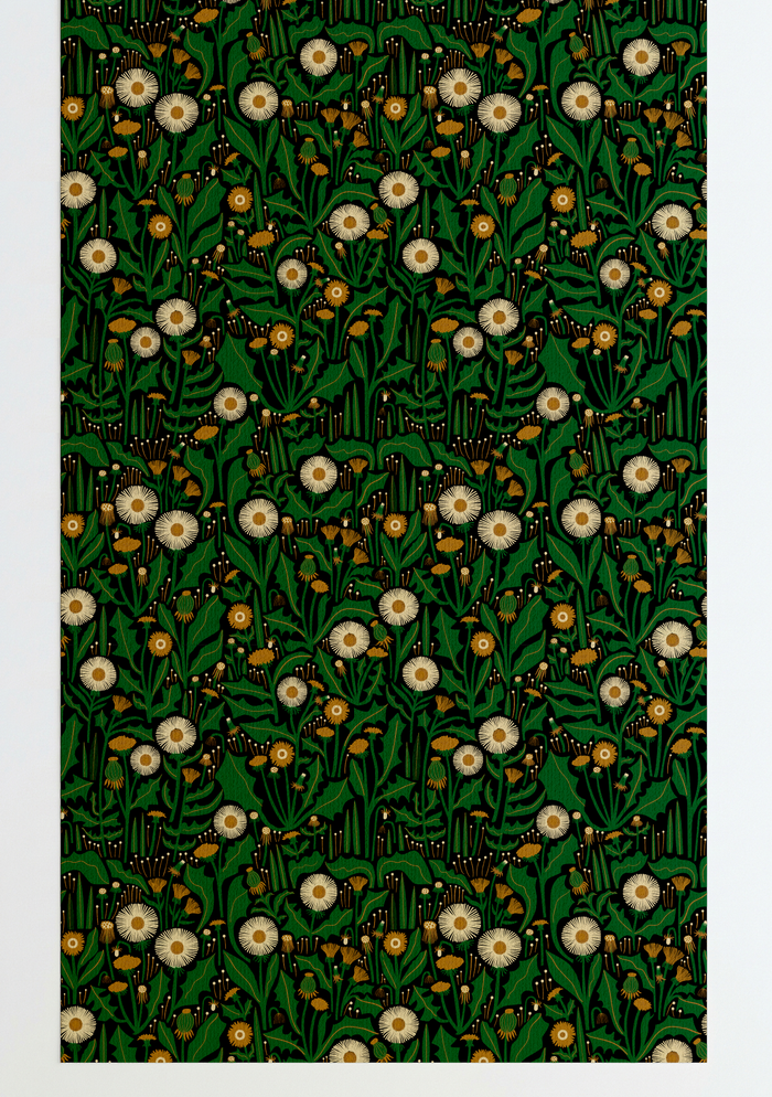 Dandelion Wallpaper Black