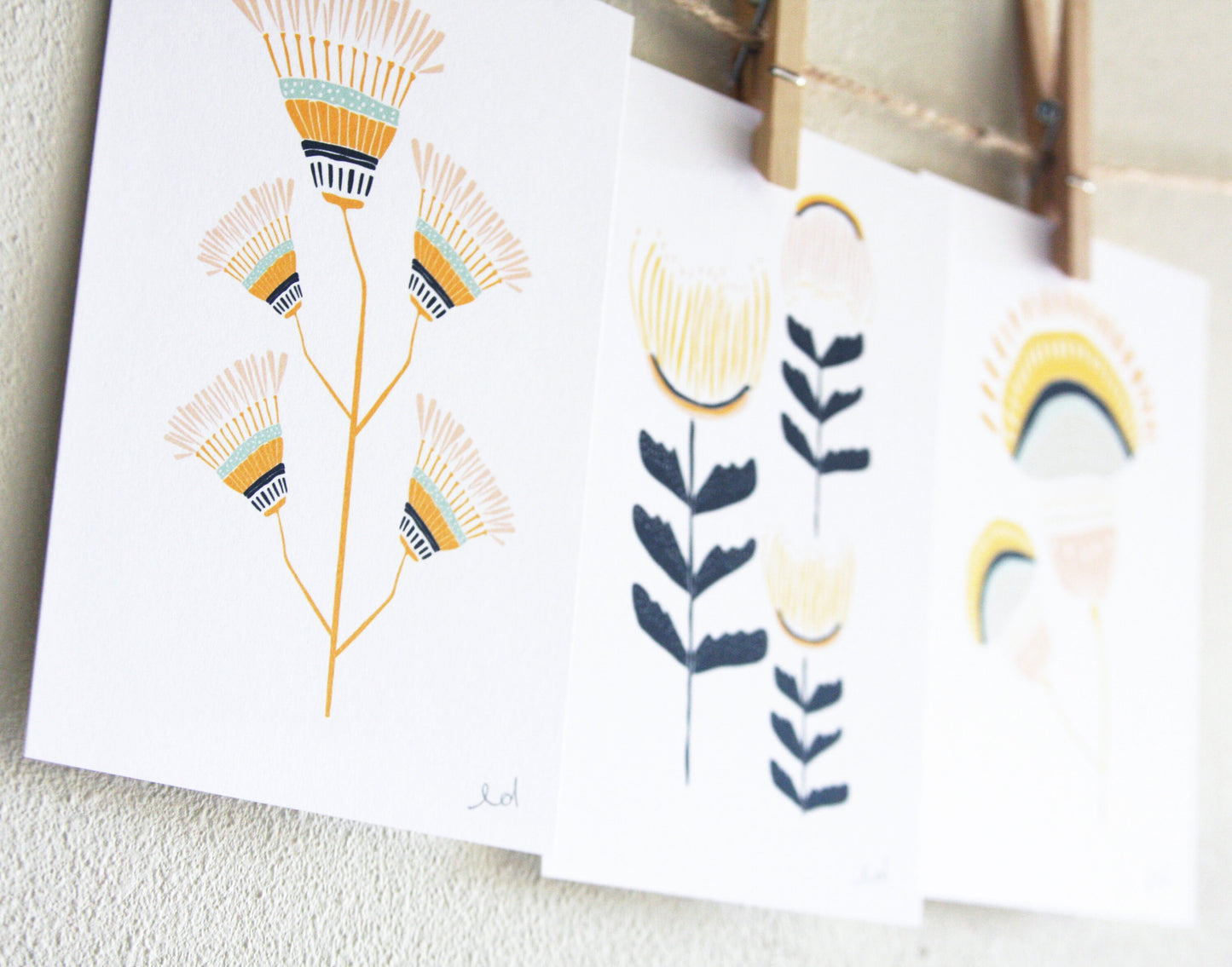 Desert Flowers Set of 3 Prints