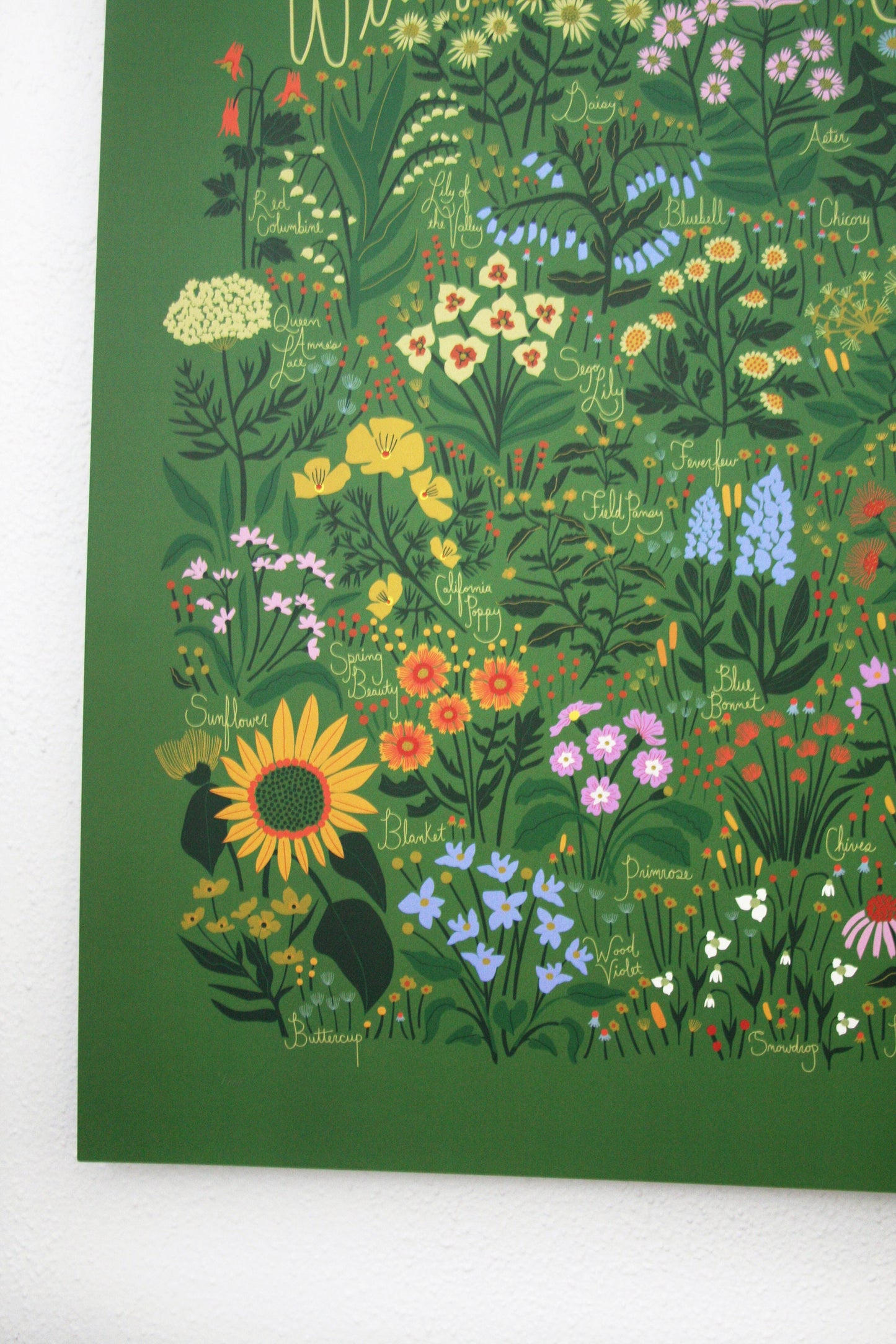 Wildflowers of North America Poster Green