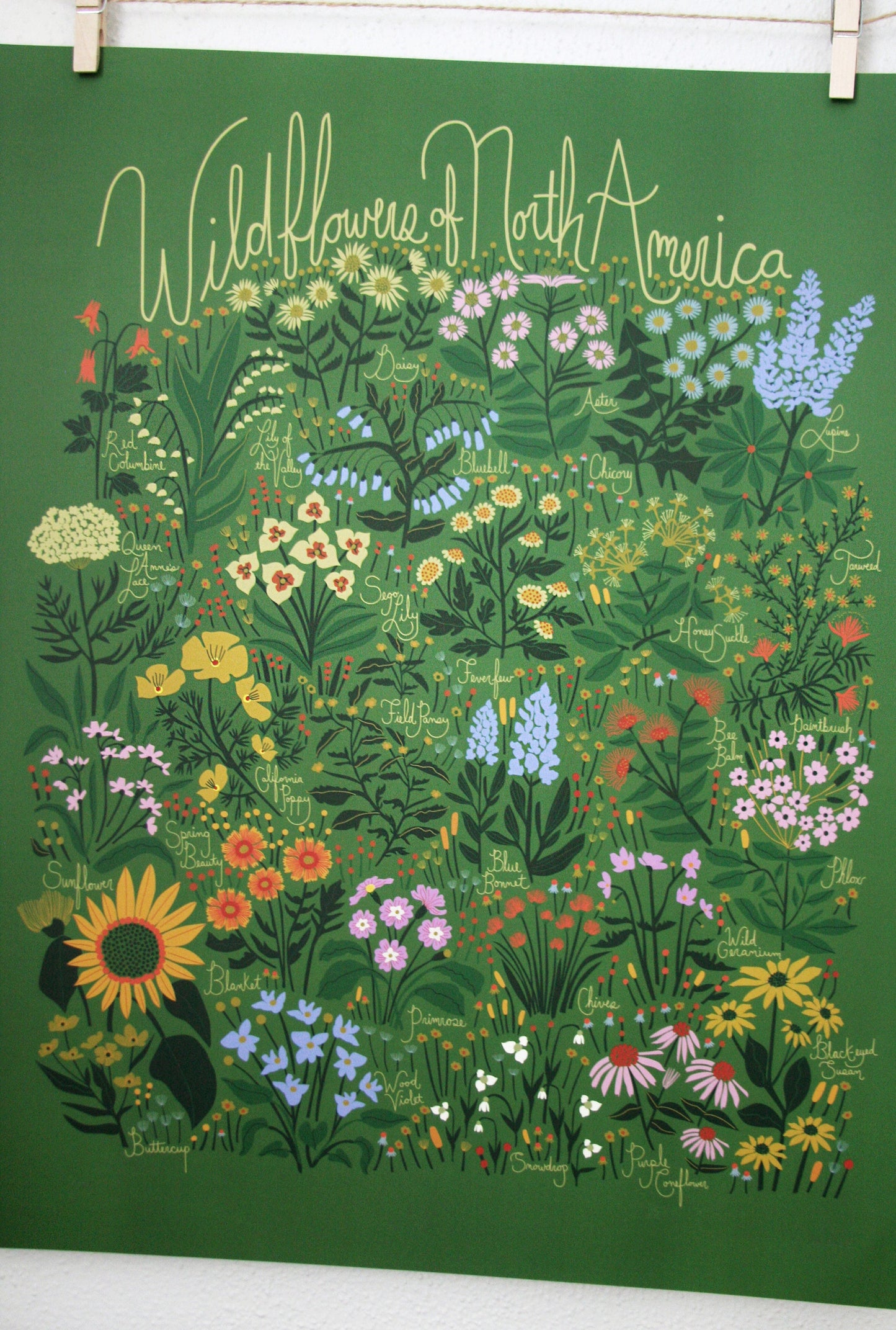 Wildflowers of North America Poster Green