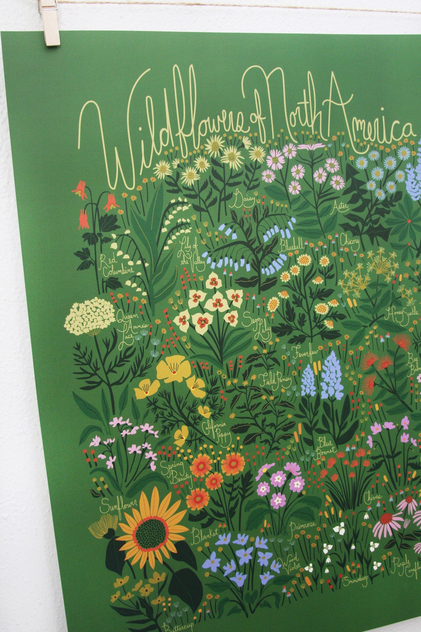 Wildflowers of North America Poster Green