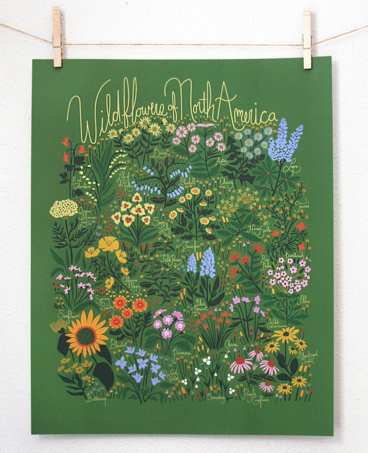 Wildflowers of North America Poster Green