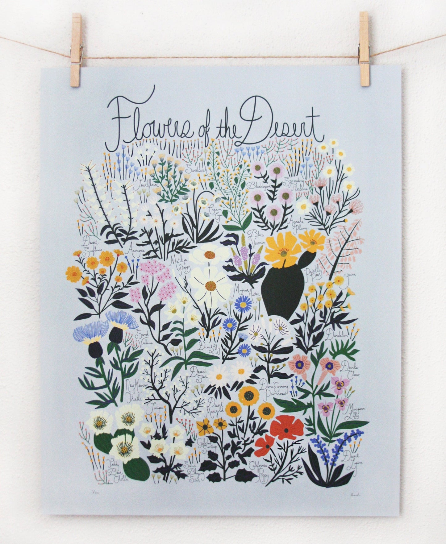 Flowers of the Desert Poster